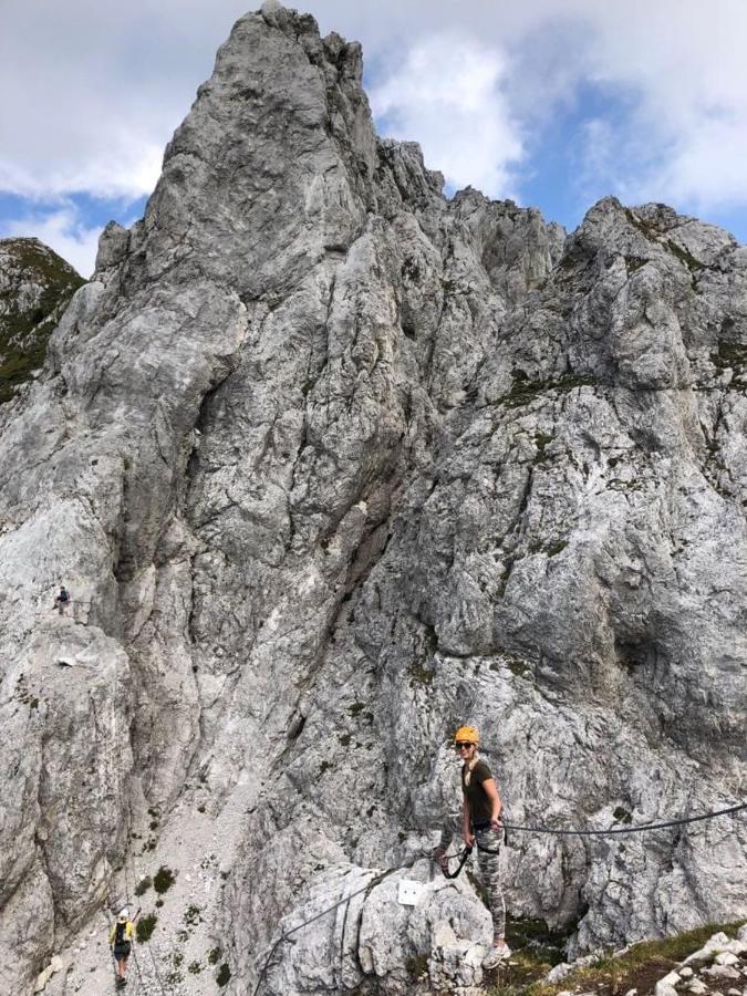 Apartments Edelweiss & Enzian - Gaestehaus Zum Fuchs ヘルマゴル エクステリア 写真